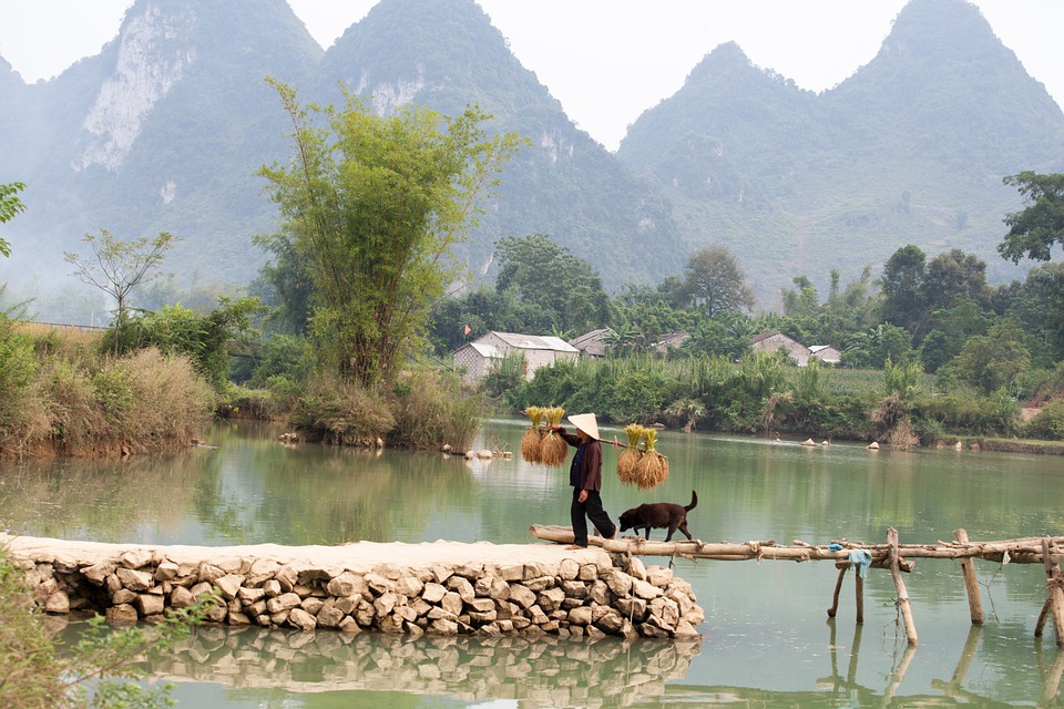 countryside-6540850_960_720.jpg