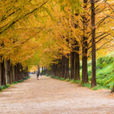 随笔丨曾秦伟:风起雨落笑傲冬