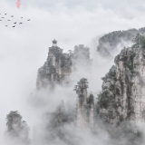 “大爱张家界”诗赛选登丨 腾飞百仞临仙界,巡遍千山宿水隈