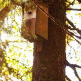 序言丨罗广才：重拳之下遇到一双来安抚的手