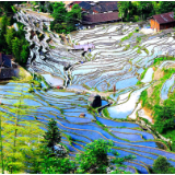 诗词丨李长文：叶荣叶衰天亦老，世间时光不待人