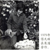 诗歌世界丨李成恩：果园——悼念诗人傅天琳老师