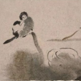 专栏丨杨福音：冬天，孔雀飞来了