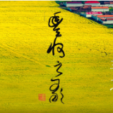 音乐丨《丰收之歌》