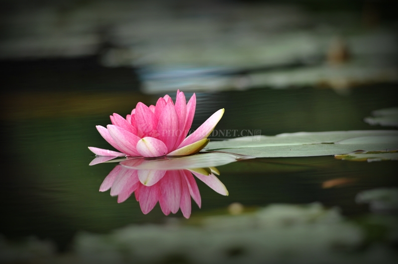 光影黑皮1.jpg 光影黑皮1.jpg