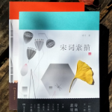 《唐诗素描》《宋词素描》十年典藏版：极致的诗意美学