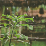 湘江文艺丨张香琳：仁顺的一个上午（短篇小说）