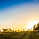 诗歌丨杨丰源:我耸立在山野,千转百回的心事若隐若现