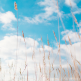 小说丨白鹭林《为了爱情》:重归于好(完结篇)