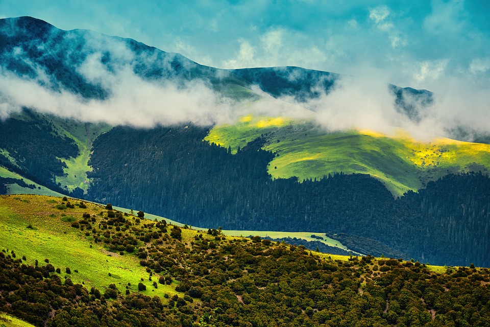 nature-6756051_960_720.jpg nature-6756051_960_720.jpg