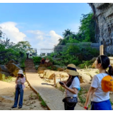 潇湘情歌丨李长文:雨晴枯荣身外事,吾心安处在潇湘