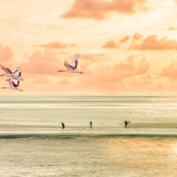 芙蓉·小说丨阿微木依萝：太阳降落的地方