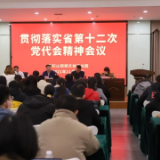 马栏山视频文创园传达学习贯彻省党代会精神