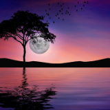 随笔丨杨清茨：赏月记