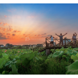 芙蓉·诗歌丨周瑟瑟：蓝色早晨（外三首）