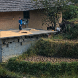 散文诗丨苏启平：盛开在夏夜的月光（组章）