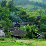 湘江文艺丨陈惠芳：古意潇湘（组诗）