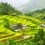 湘江文艺丨林建勋：远去的稻米（外一首）