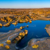 诗歌世界丨卓玛木初:万物各安天命,就连风 也遵守着古老的法度