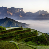 文艺论坛丨雍寒清：“精准扶贫”的有高度、有温度之作