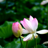 湘江文艺丨谢方儿：明天见（短篇小说）