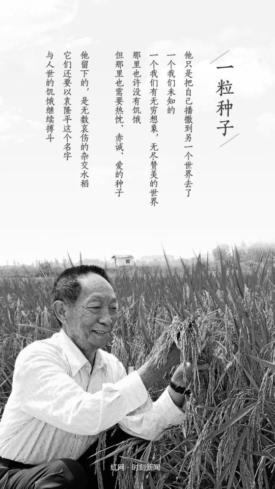 5b08d30d-5fcc-4f3f-a1ff-950d5d1d5376.png
