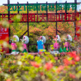 凝聚文艺力量 助推乡村振兴“笑满三湘”湖南省文艺志愿服务团唱响大围山杜鹃花海