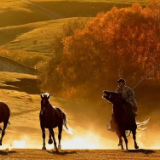 美文丨石川：有一种进步，叫清零