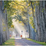 行吟诗刊丨王谨：爱心诗人安娟英以生活绢绢之线编织诗情
