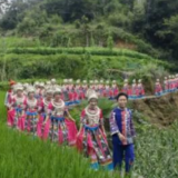 文旅周刊丨首邀名人代言县域旅游 李玉刚担任花垣文旅“宣传大使”