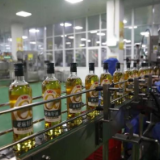 民族品牌的骄子，为什么是鲁花？