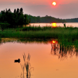 散文丨谢丽英:最念故乡月儿圆