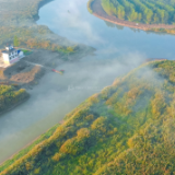 诗歌丨薄雪晴天:我是洞庭湖上寻觅家乡的候鸟