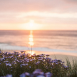 评论丨谭谈:文学的苦行僧