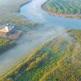沈念：在水流之中获得力量