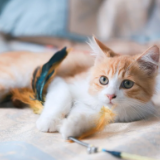 诗评丨周瑟瑟：南方诗歌美学的建造者