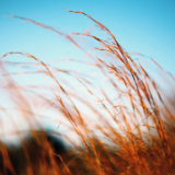 随笔丨方译唯:与你的时光——给墨香的一封信