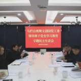 马栏山视频文创园召开党史学习教育专题民主生活会