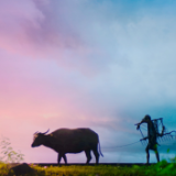 评论丨李泽清：真情写作是解乡思的有效路径