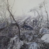 湖南水彩画邀请展丨何次贤:《大地》