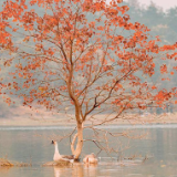 湘江文艺丨大空:草木深,秋山颦,叶落纷纷