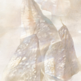 湖南水彩画邀请展丨段辉:《秋华》
