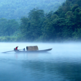 诗歌时刻丨李满强：鸣叫声在晚风中，铺满了我将要途径的道路