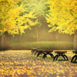 文艺论坛丨李德南：唐诗人，或火山的沉寂时刻与爆发时刻