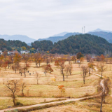 诗歌时刻丨王峰：驼背的刘二立于旷野，就像一根被生活砸弯了的钉子