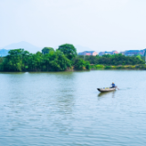 散文丨储劲松:吴越烟萝