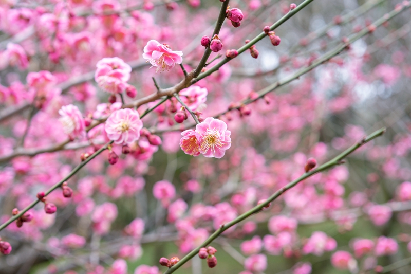 5c894fbc6cb4b_副本.jpg 5c894fbc6cb4b_副本.jpg