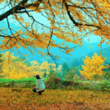 散文丨王敦权：永州山水都是文章