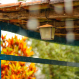 散文丨郭大章:长安书