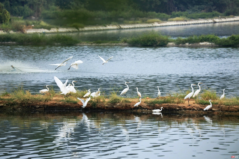 _LQL7368_副本.jpg _LQL7368_副本.jpg